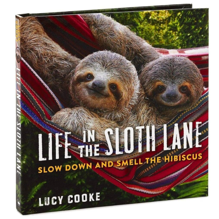 Life in the Sloth Lane