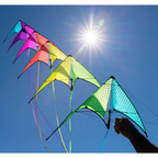 Neutrino Stunt Kite (Base Kite)
