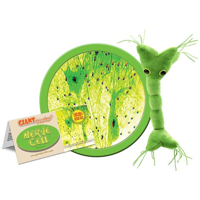 Nerve Cell (Neuron) Giant Microbe