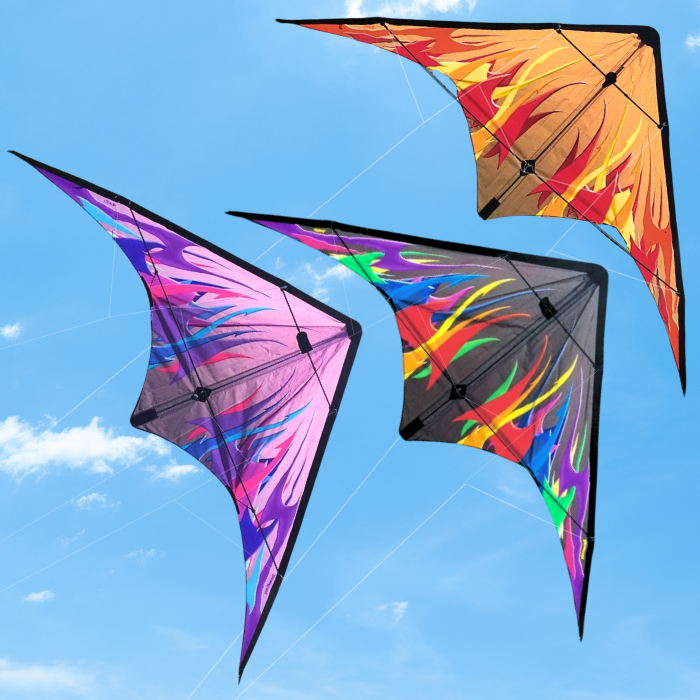 Barracuda Kite