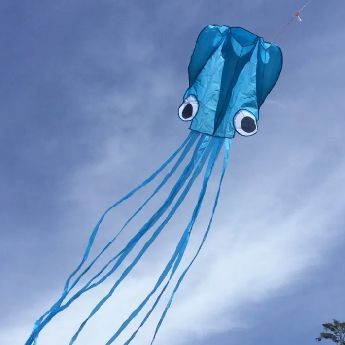 13ft Pocket Octopus Kite