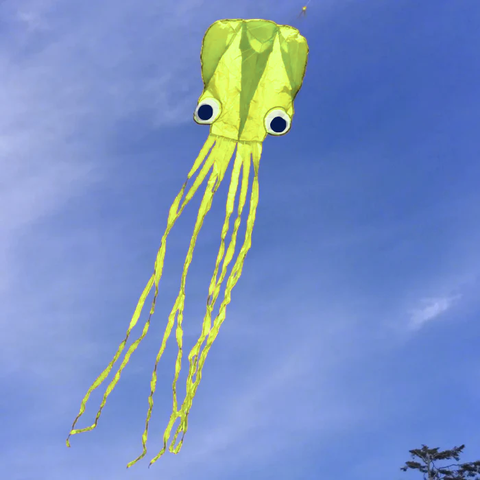 13ft Pocket Octopus Kite