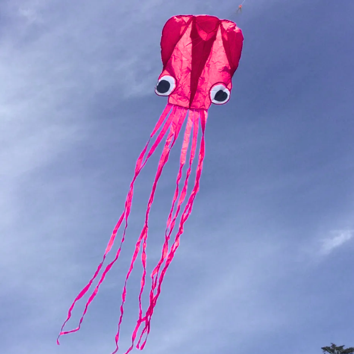 13ft Pocket Octopus Kite