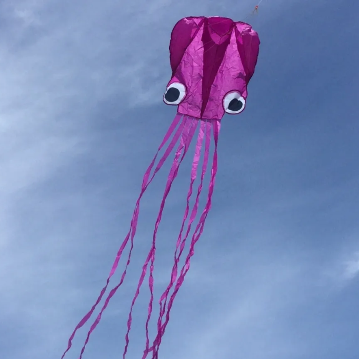 13ft Pocket Octopus Kite