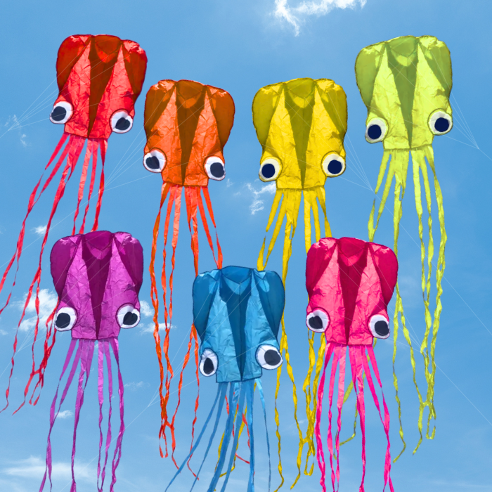 13ft Pocket Octopus Kite