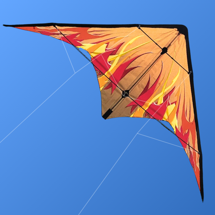 Barracuda Kite