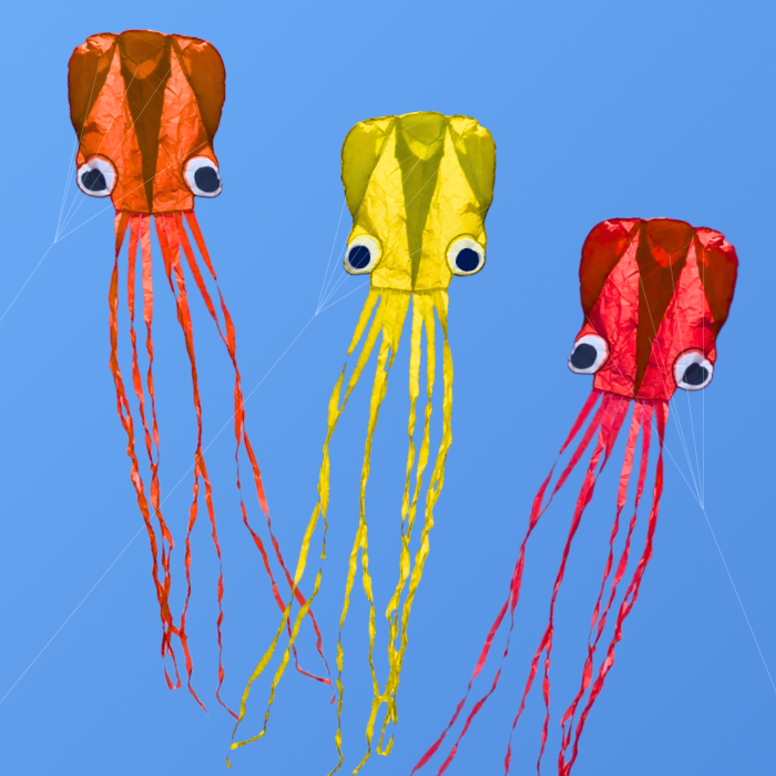 13ft Pocket Octopus Kite