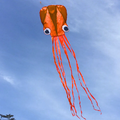 13ft Pocket Octopus Kite