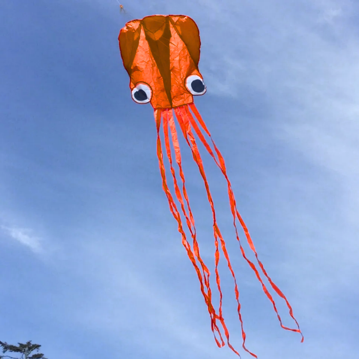 13ft Pocket Octopus Kite