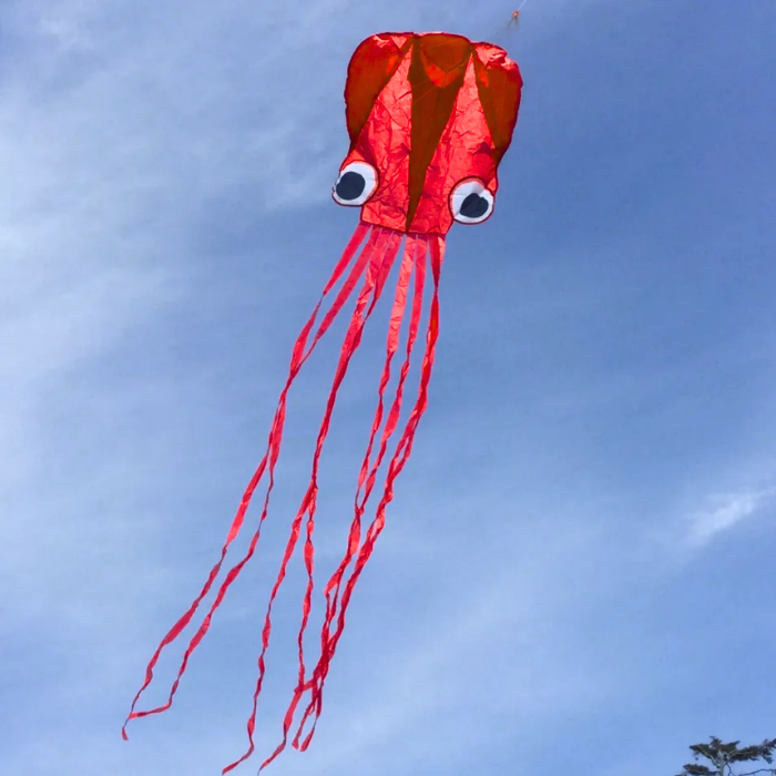 13ft Pocket Octopus Kite