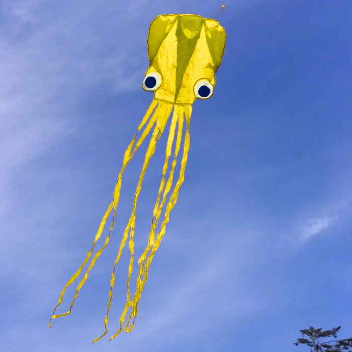 13ft Pocket Octopus Kite