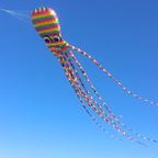 26ft Giant Octopus Kite