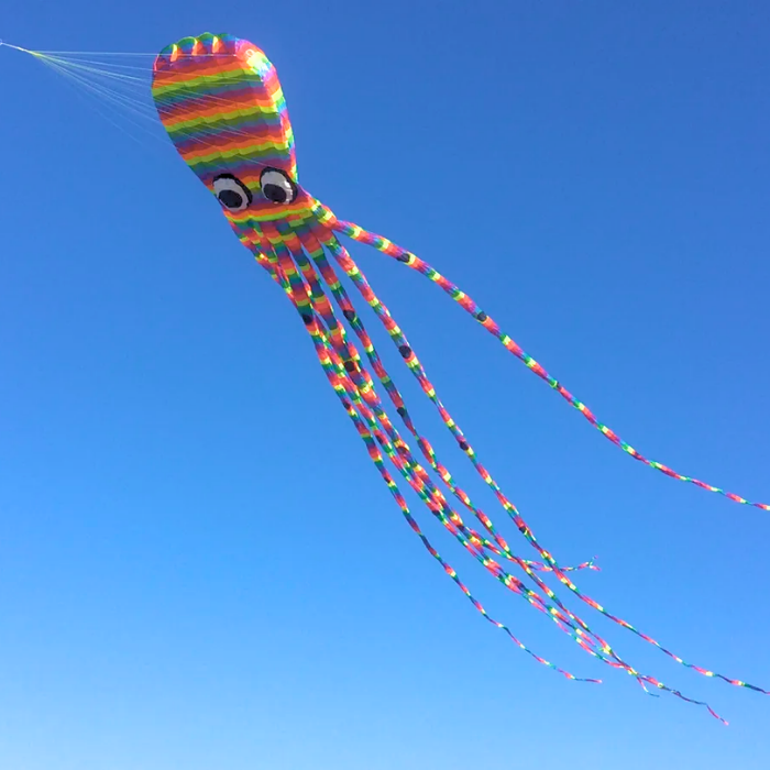 26ft Giant Octopus Kite