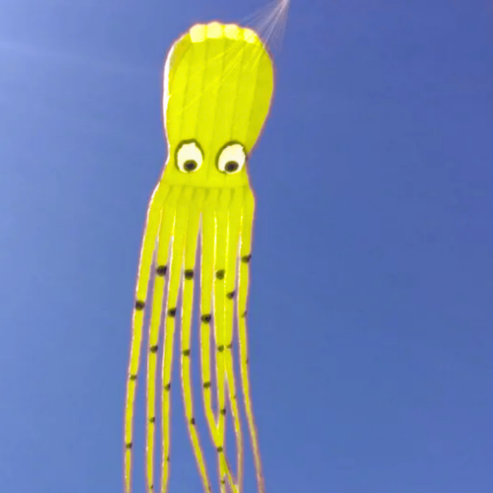 26ft Giant Octopus Kite