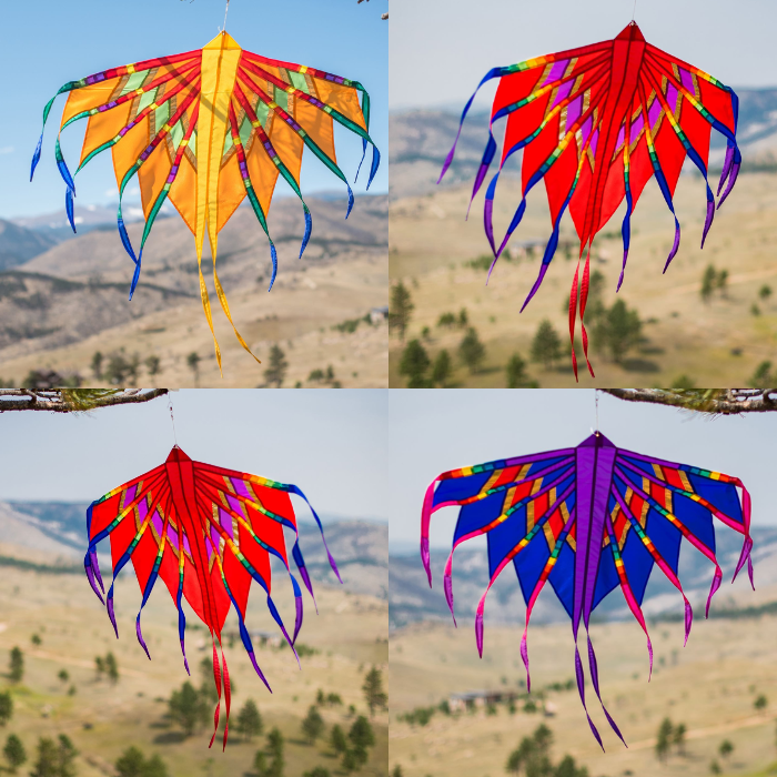 Phoenix Banner