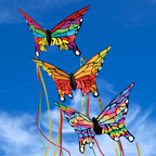 Sky Dog Butterfly Kite