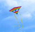 51" Tetra Kite