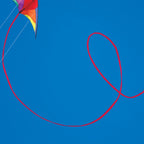 50ft Stunt Tail