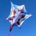 Super Squirrel Kite