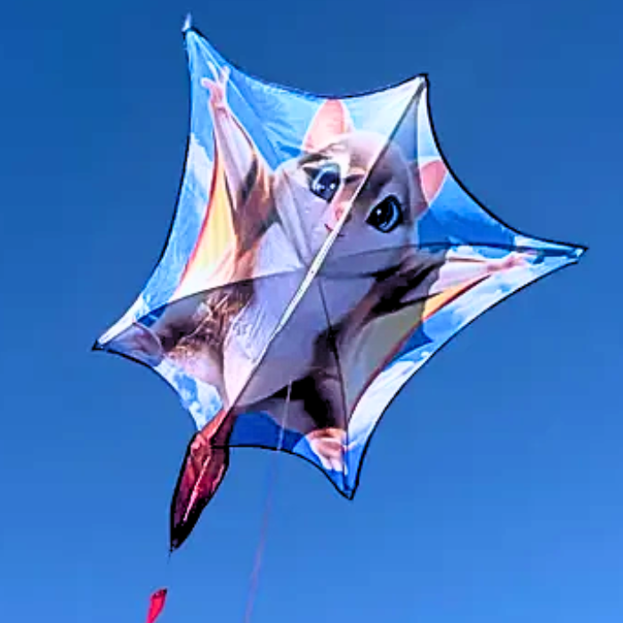 Super Squirrel Kite