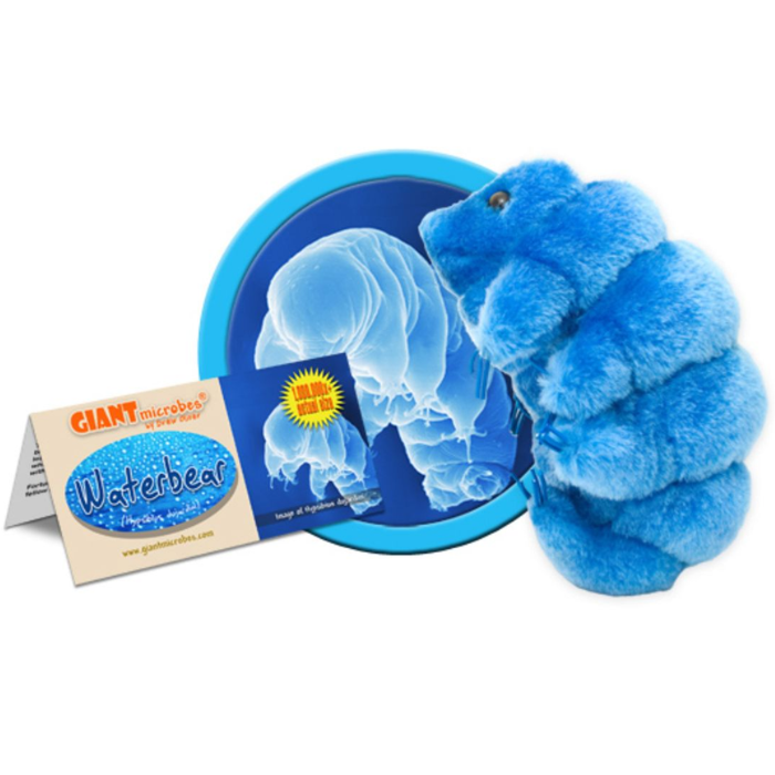 Waterbear (Tardigrade) Giant Microbe