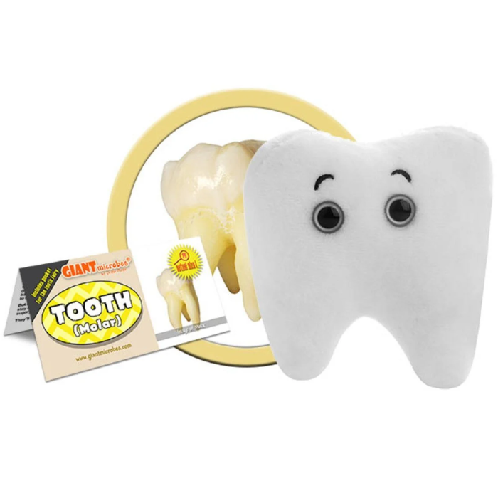 Tooth (Molar) Giant Microbe