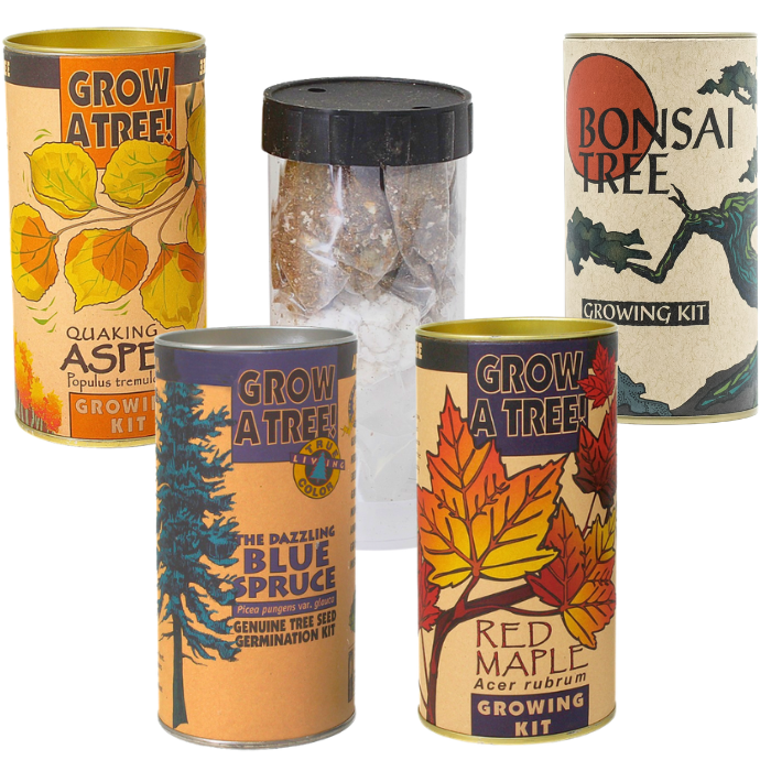 Tree Growing Kit