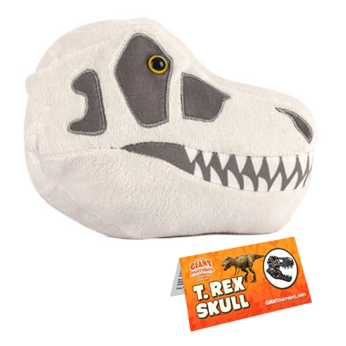 T-Rex Skull Giant Microbe