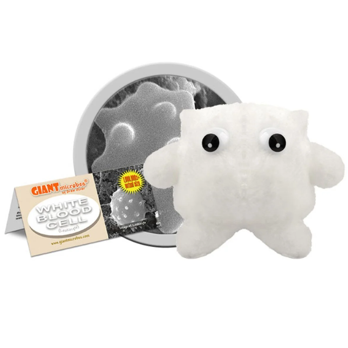 White Blood Cell (Leukocyte) Giant Microbe