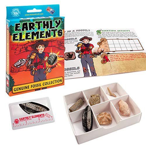 Science Kits & Activities