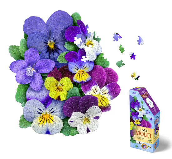 Jigsaw Puzzles