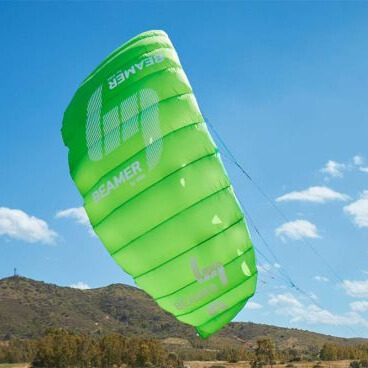 Quad Line Kites