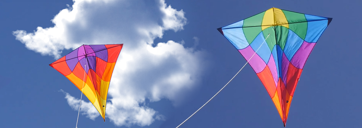 Kites - Buy at Into The Wind Kites