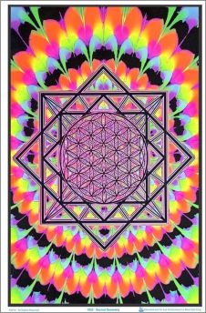 Sacred Geometry Black Light Poster