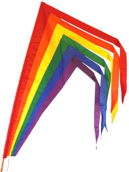 Parade Banner
