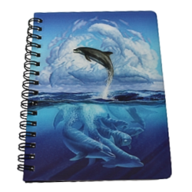 3D Dolphin Jotter