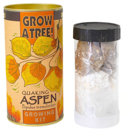 Aspen Grow Kit