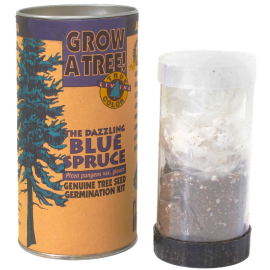 Spruce Grow Kit