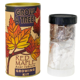 Maple Grow Kit