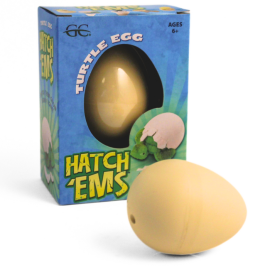 Hatch'Ems Tortoise Egg
