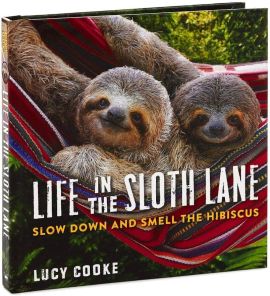 Life in the Sloth Lane