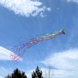 Iridescent Mylar Windsock