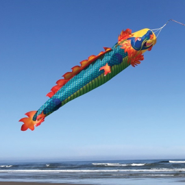50" 3D Dragon Windsock