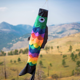 60" Rainbow Fish Windsock