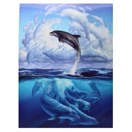 3D Dolphin Poster
