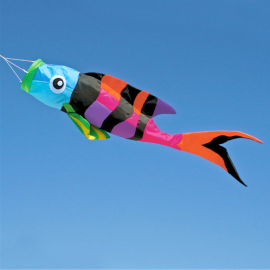 Sergeant Major Rainbow Fish Windsock