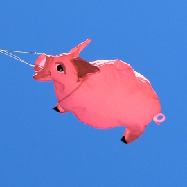 28" Pig Windsock