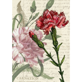 Carnation Decorative Flag