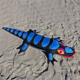 George Peters Black Lizard Sandimal Kite Anchor