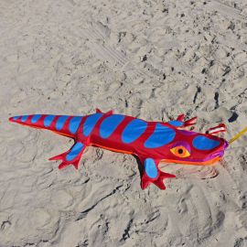 George Peters Red Lizard Sandimal Kite Anchor